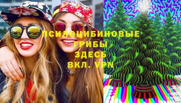 винт Куйбышев