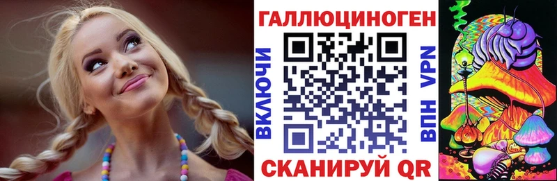 кракен Стародуб Псилоцибиновые грибы GOLDEN TEACHER